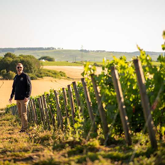L'engagement HVE de la maison de champagne Vazart Coquart