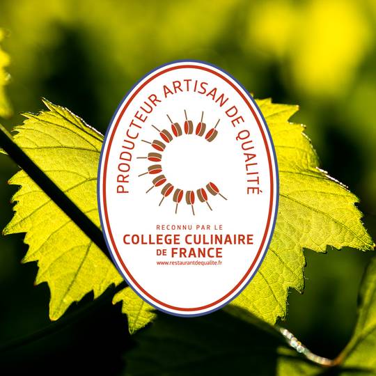 Vazart Coquart reconnu pour la qualité de ses champagnes par le collège culinaire de France